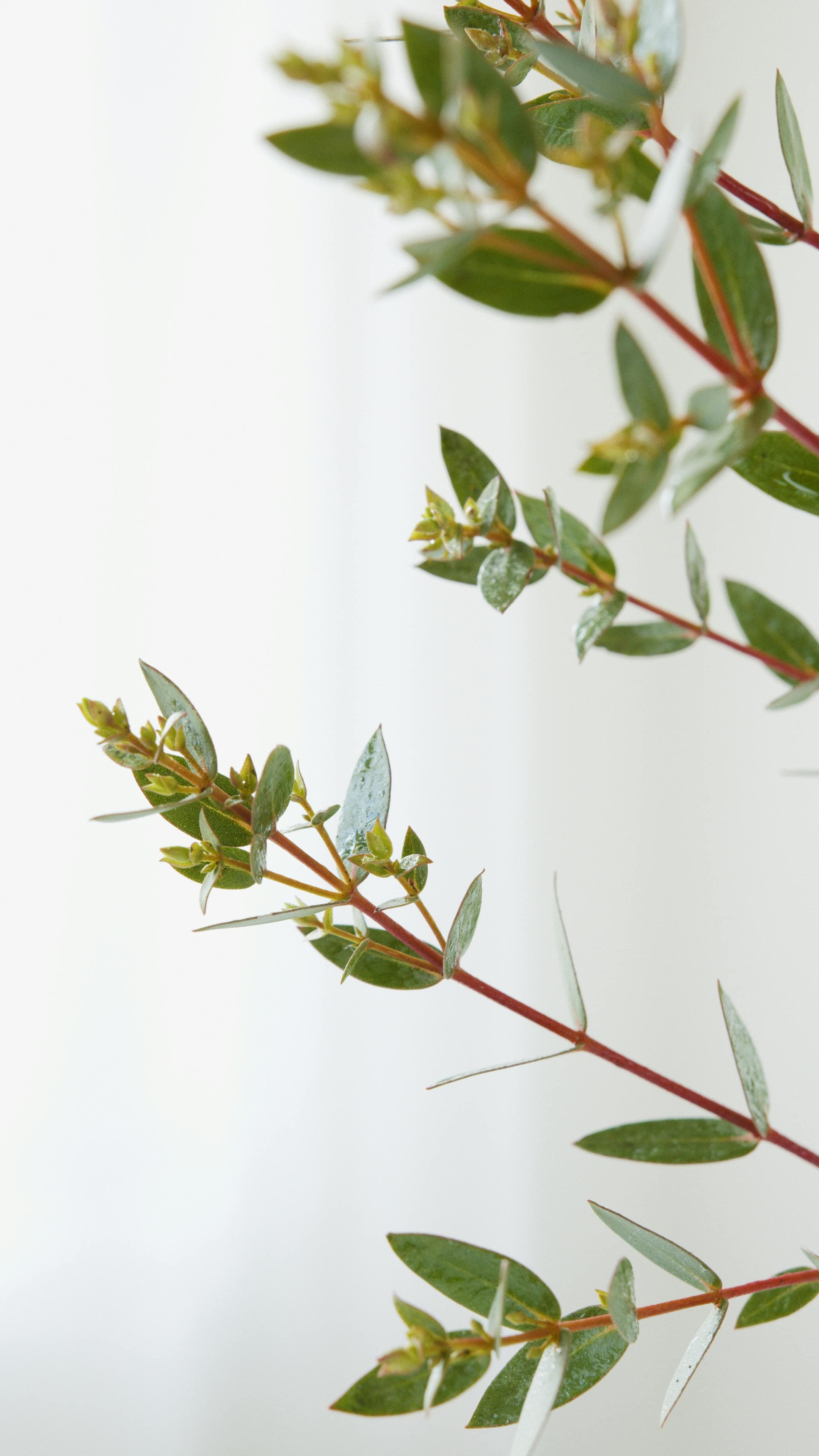 교회 연혁 배경 이미지