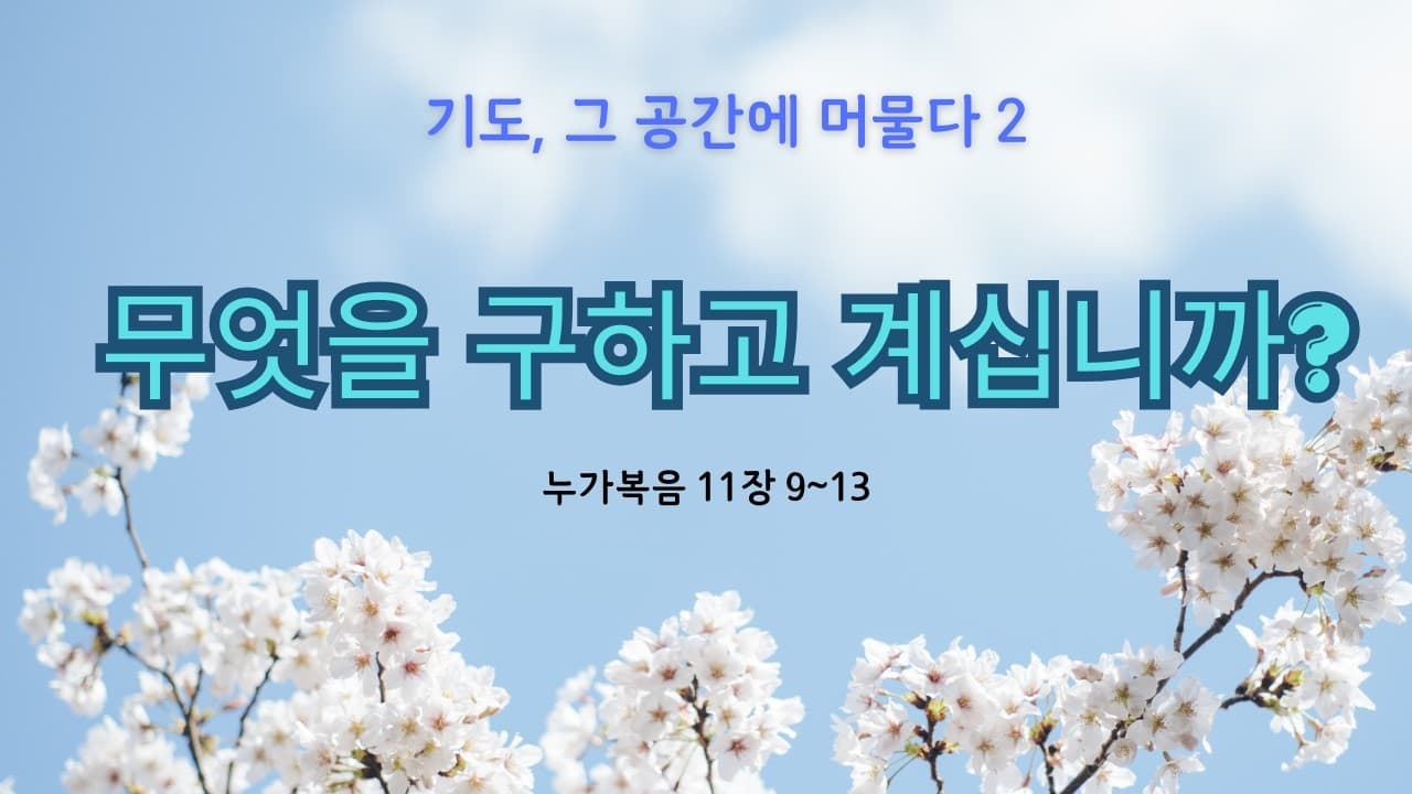 무엇을 구하고 계십니까 | 본문: 누가복음 11장 9~13절  | 이진욱 목사  | The 제자교회