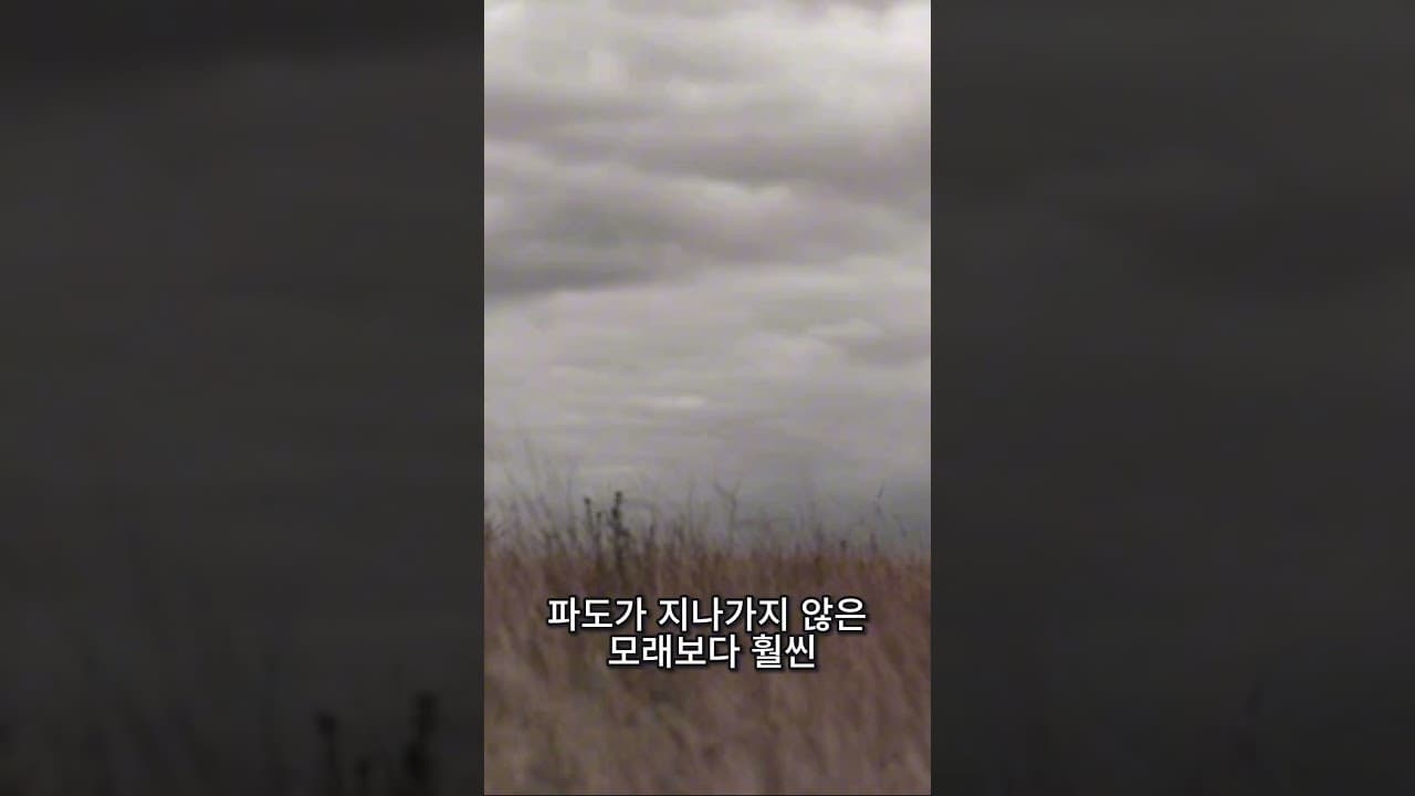 감정의 파도가 덮칠때 |  | 이진욱 목사  | The 제자교회