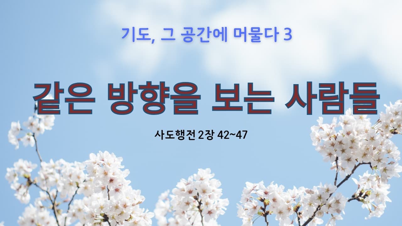 같은 방향을 보는 사람들 | 본문: 사도행전 2장 42~47  | 이진욱 목사  | The 제자교회