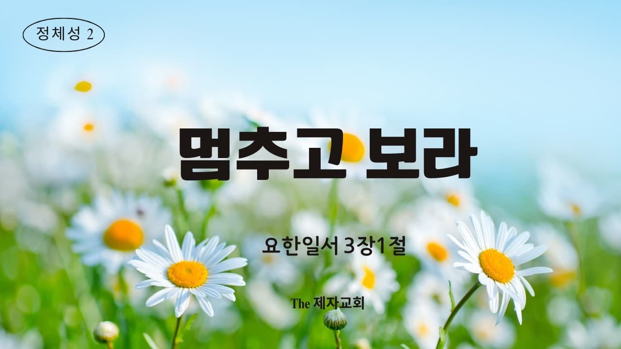 멈추고 보라 | 이진욱 목사 | 본문:요한일서 3장1절  | The 제자교회