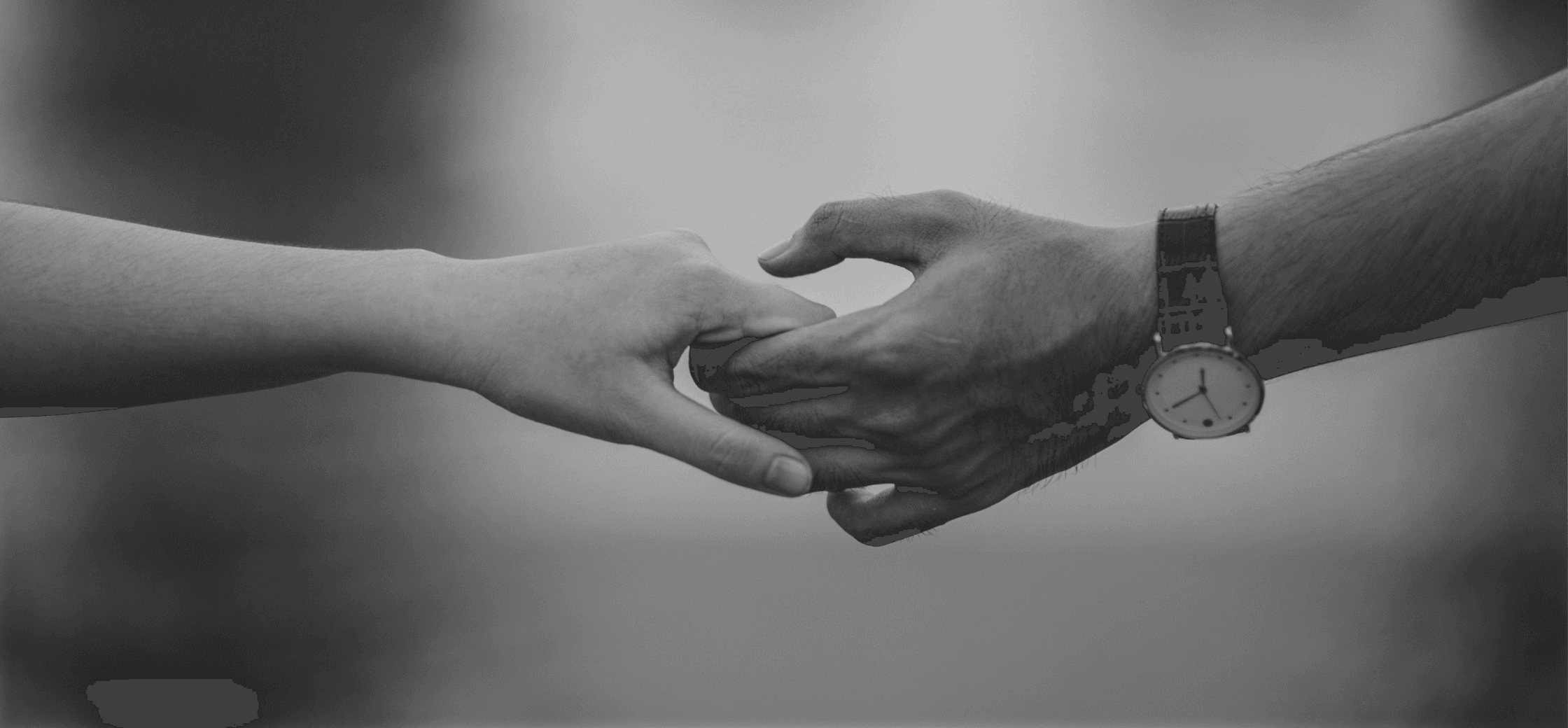 The 제자교회 인사말 배경 이미지