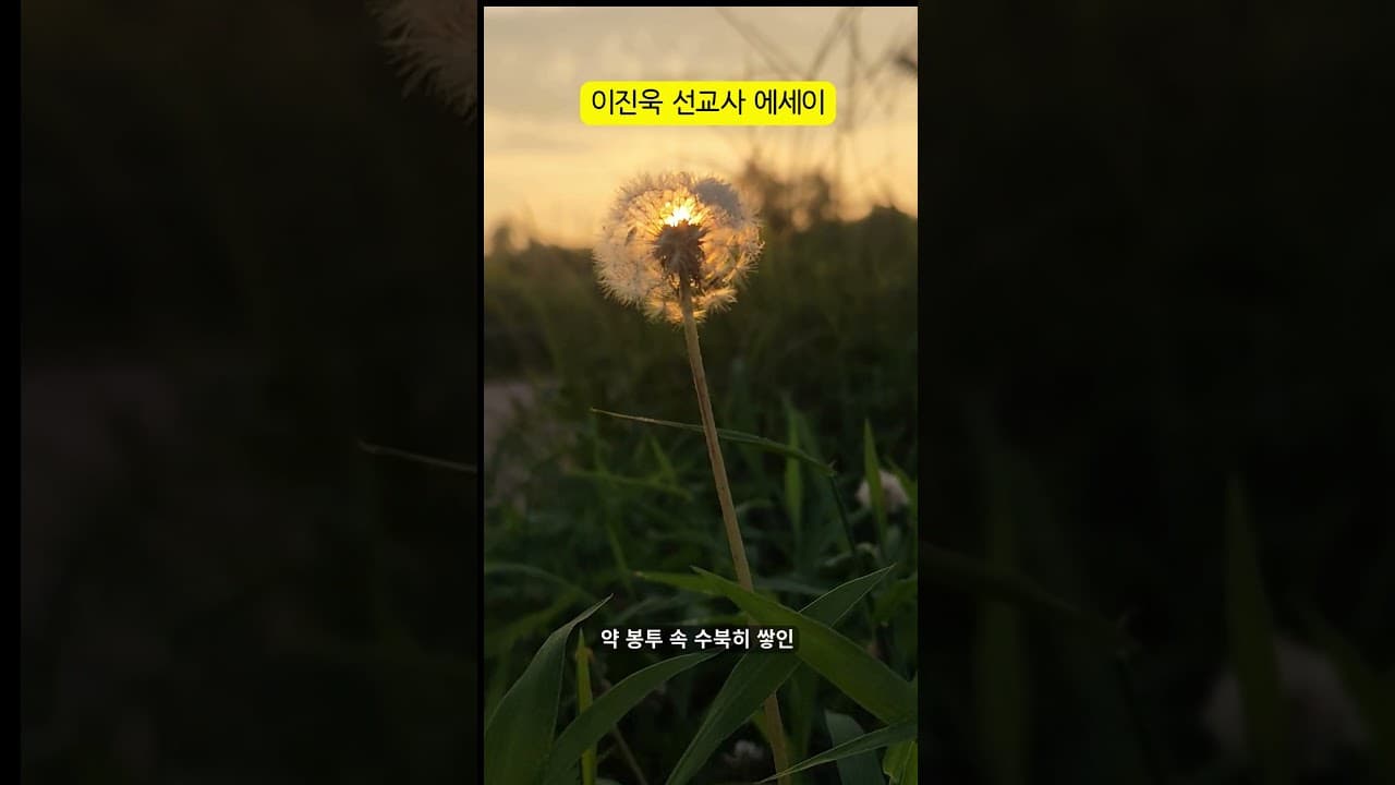 치매도 빼앗지 못하는 것 | 이진욱 목사(에세이) | The 제자교회